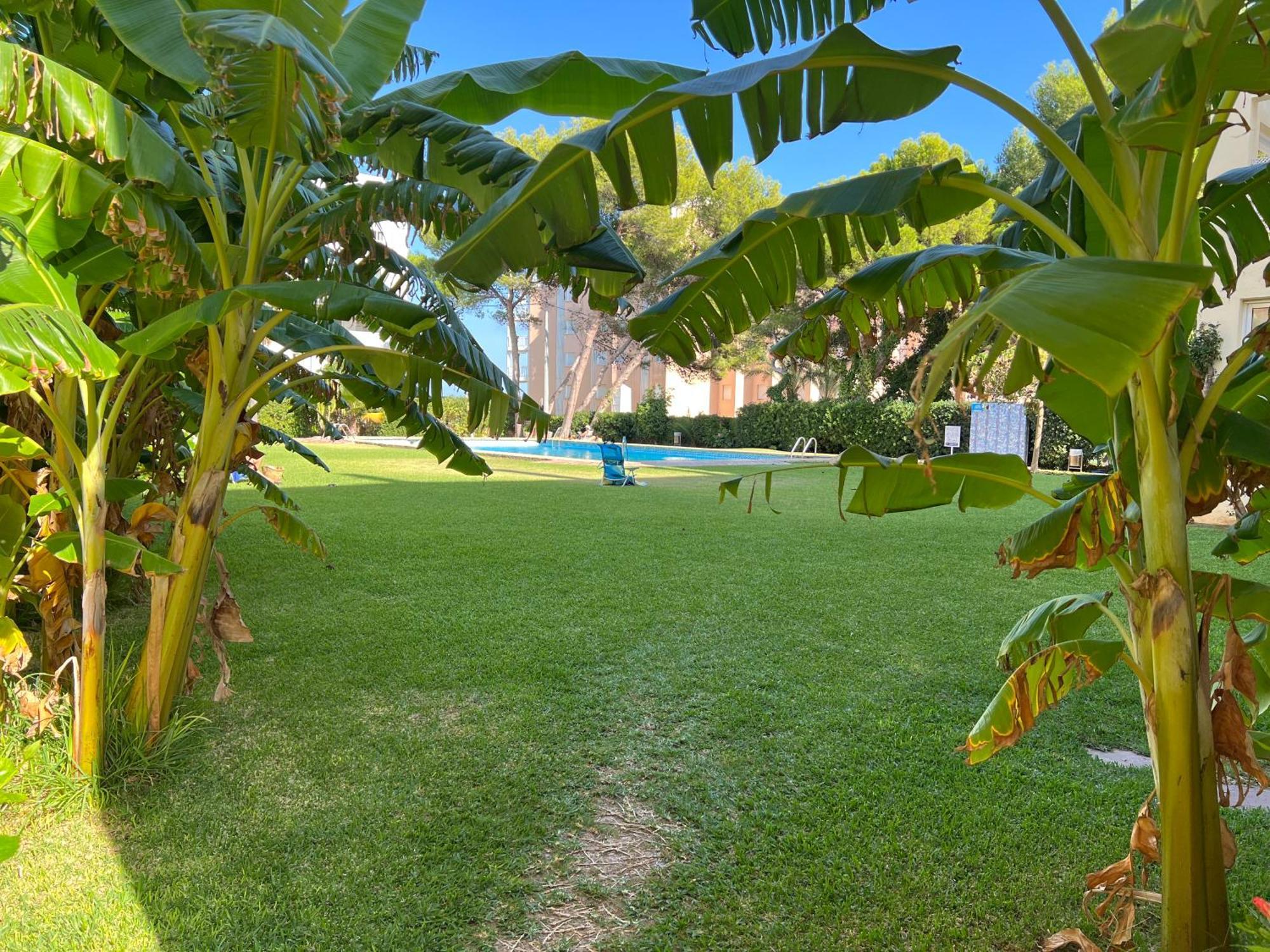 Acogedor Y Precioso Atico En Javea Primera Linea Playa 外观 照片